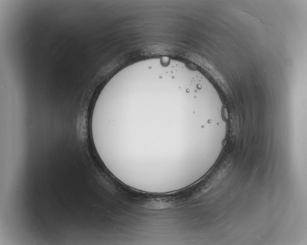 X0000101690489200807311415