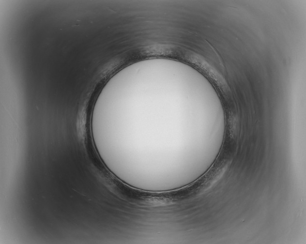 X0000101690490200807311415