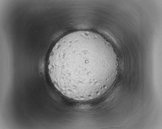 X0000101690491200807311415