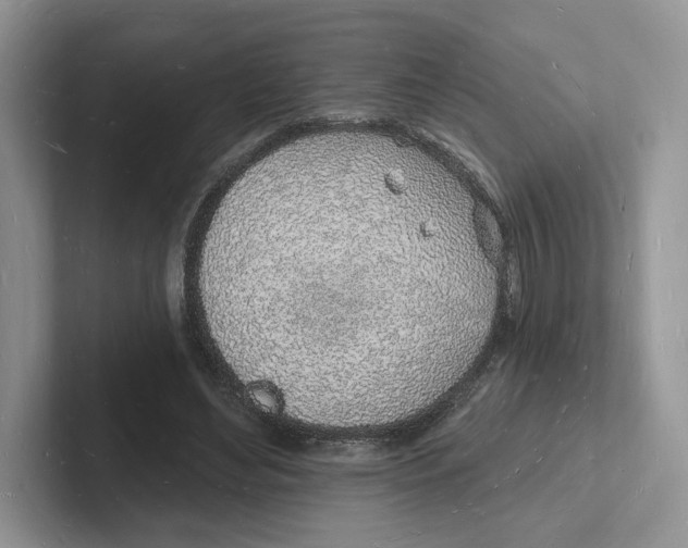 X0000101690492200807311415