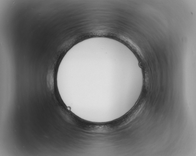 X0000101690493200807311415