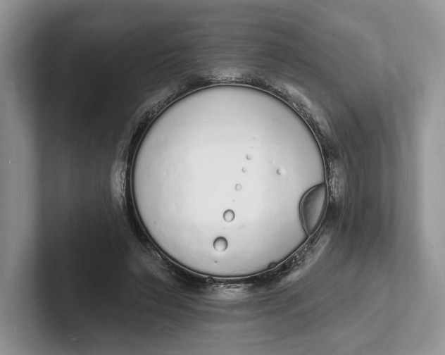 X0000101690495200807311415