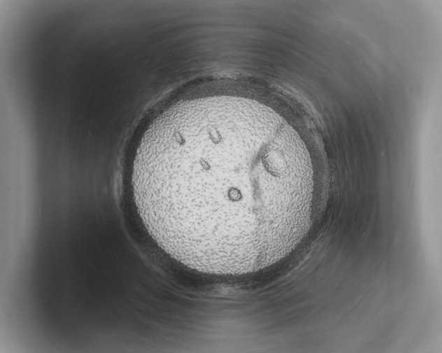 X0000101690496200807311415