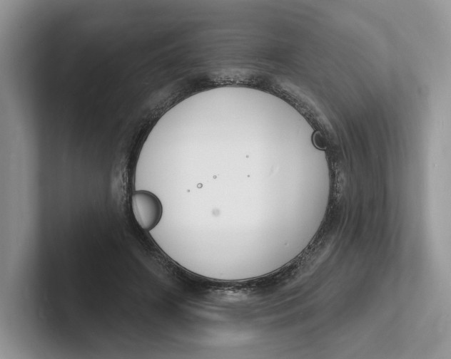 X0000101690498200807311415