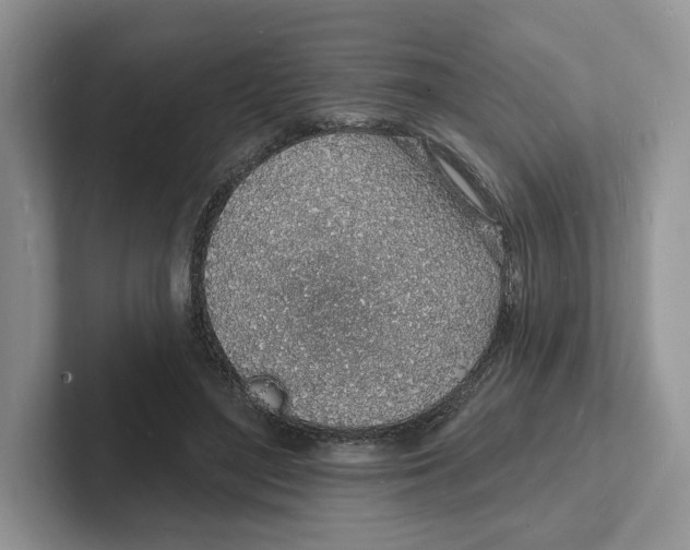 X0000101690500200807311415