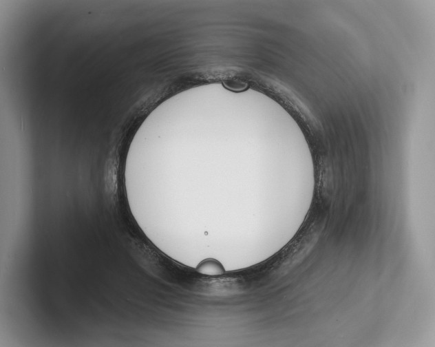 X0000101690501200807311415