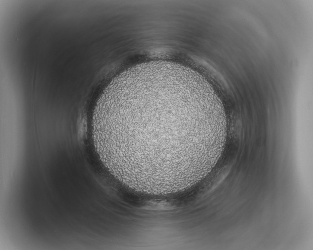 X0000101690502200807311415