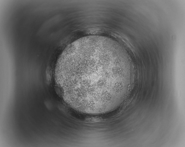 X0000101690503200807311414