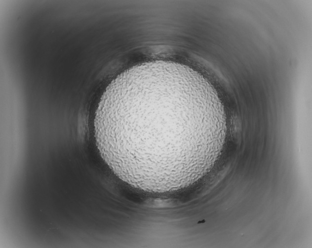 X0000101690506200807311414