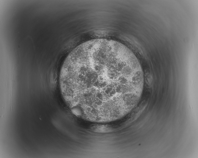 X0000101690507200807311414