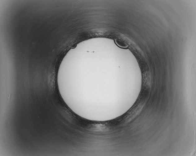 X0000101690509200807311414