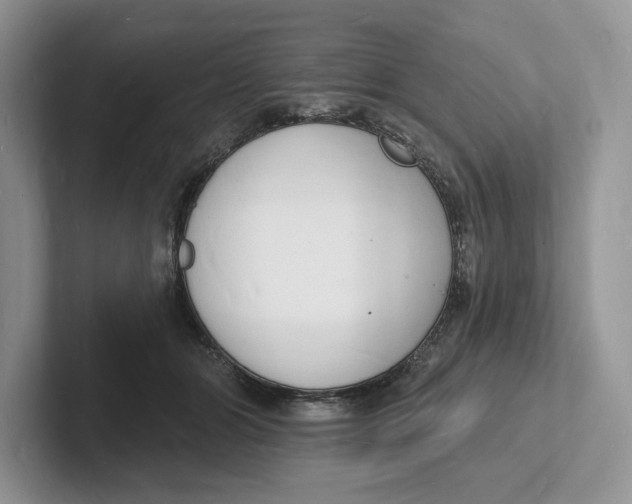 X0000101690510200807311414