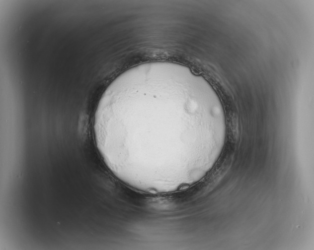 X0000101690511200807311414