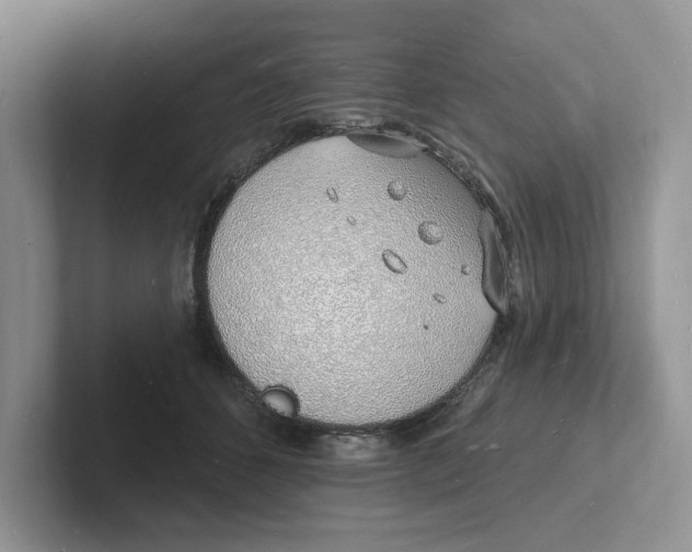 X0000101690512200807311414