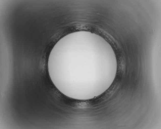 X0000101690513200807311414