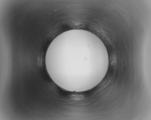 X0000101690515200807311414