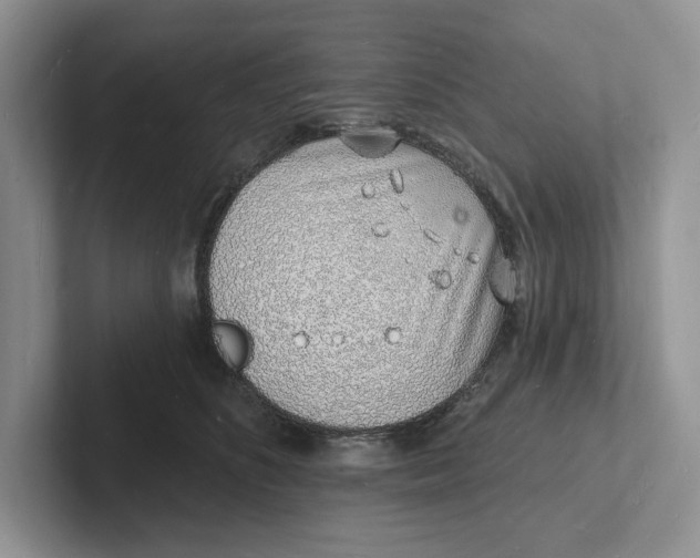 X0000101690516200807311414