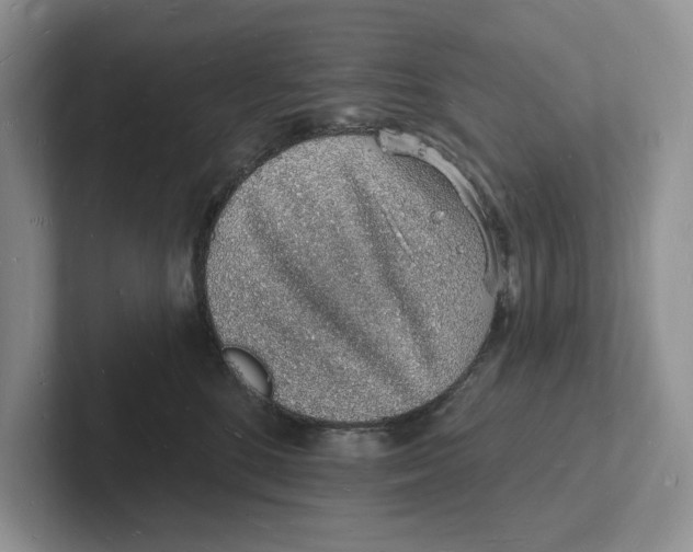 X0000101690520200807311414