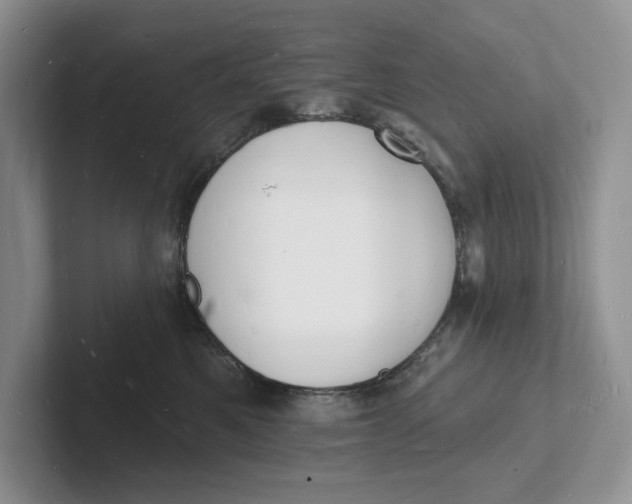 X0000101690521200807311414