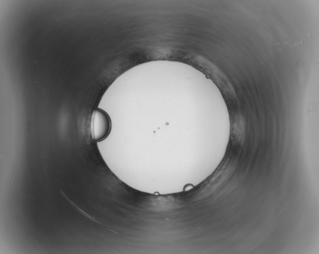 X0000101690525200807311414