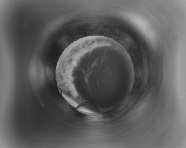 X0000101690526200807311414