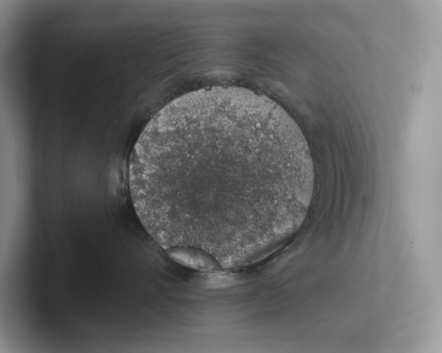 X0000101690528200807311414