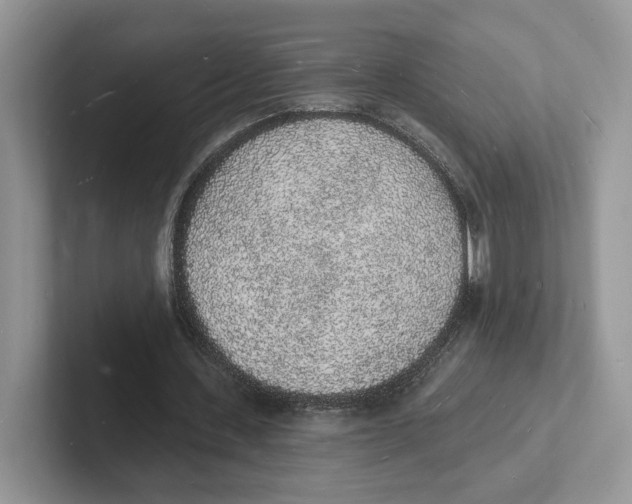 X0000101690531200807311414