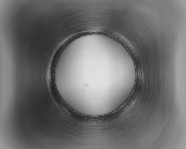 X0000101690532200807311414