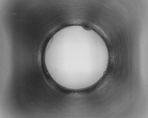 X0000101690538200807311414