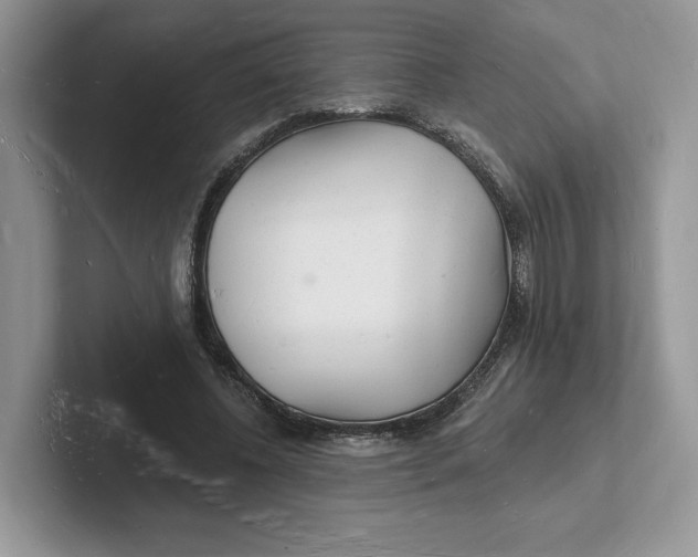 X0000101690540200807311414