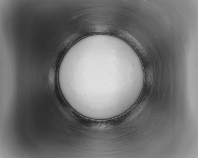 X0000101690542200807311414