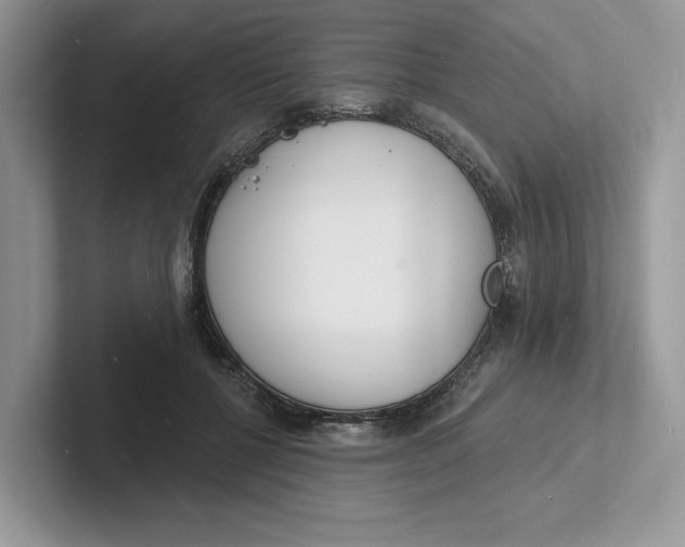 X0000101690552200807311414