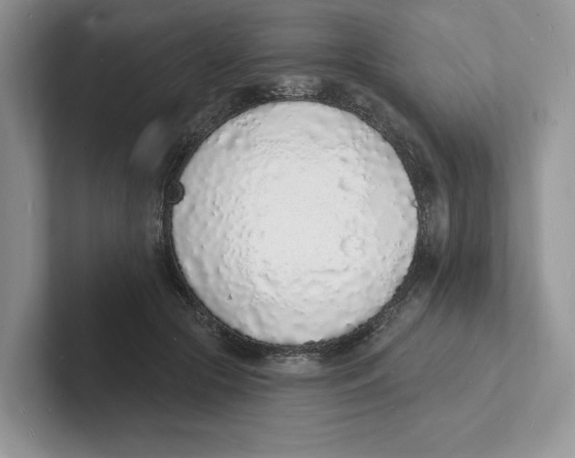 X0000101690553200807311414