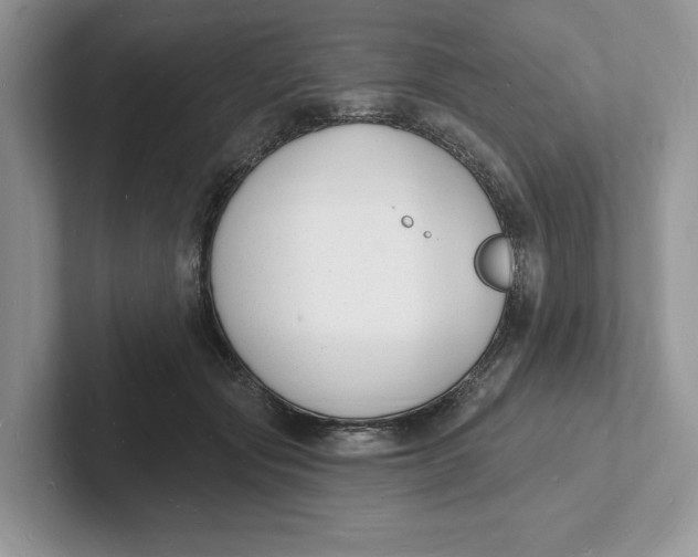 X0000101690557200807311414