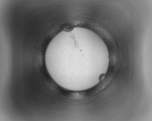 X0000101690558200807311414