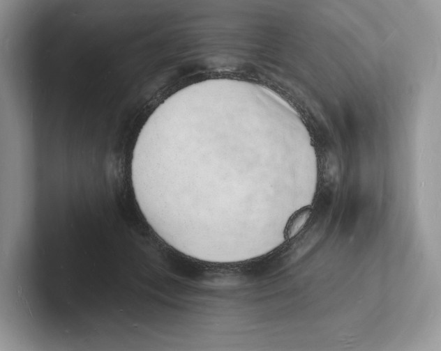 X0000101690559200807311414