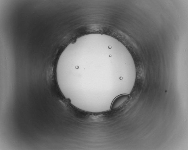 X0000101690560200807311414