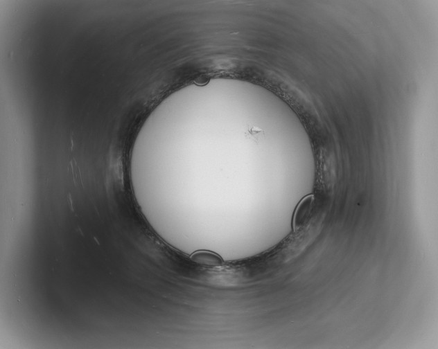 X0000101690562200807311414