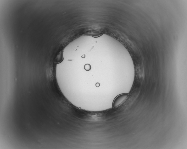 X0000101690564200807311414