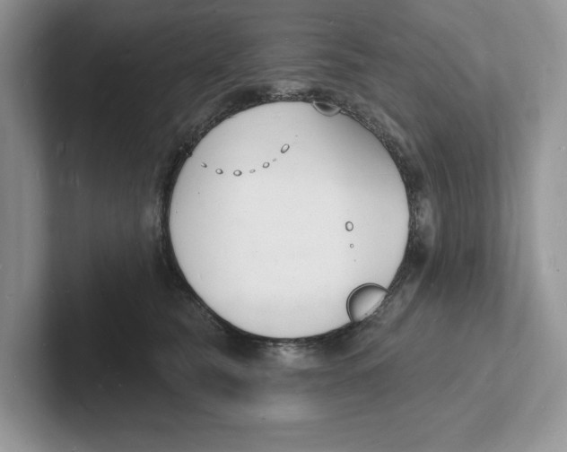 X0000101690565200807311414