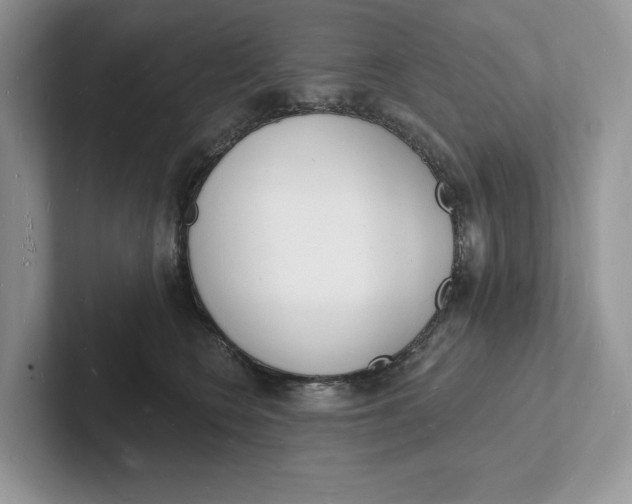 X0000101690566200807311414