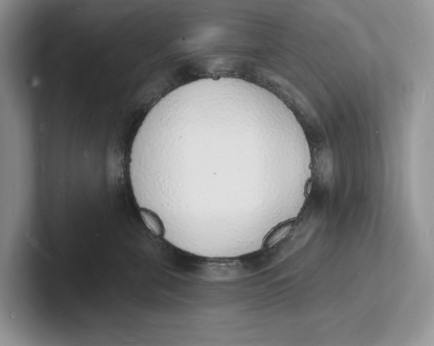 X0000101690571200807311414