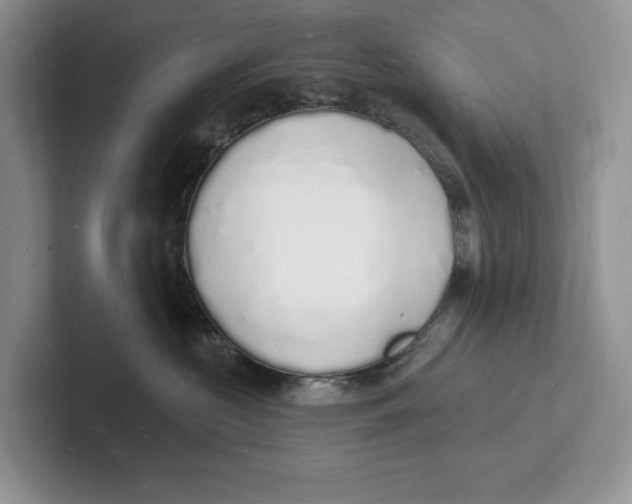 X0000101690573200807311414