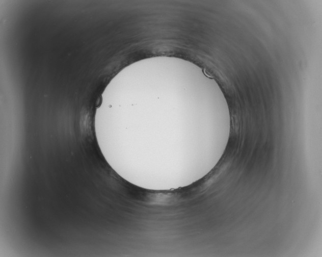 X0000101690575200807311414