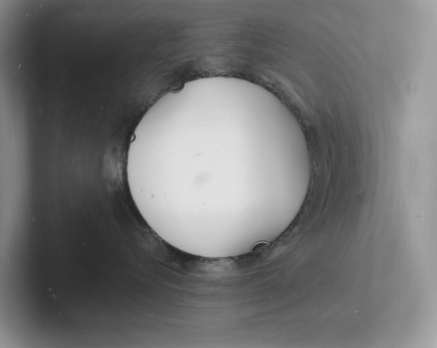 X0000101690576200807311414