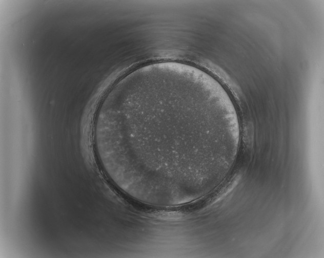 X0000101690577200807311414