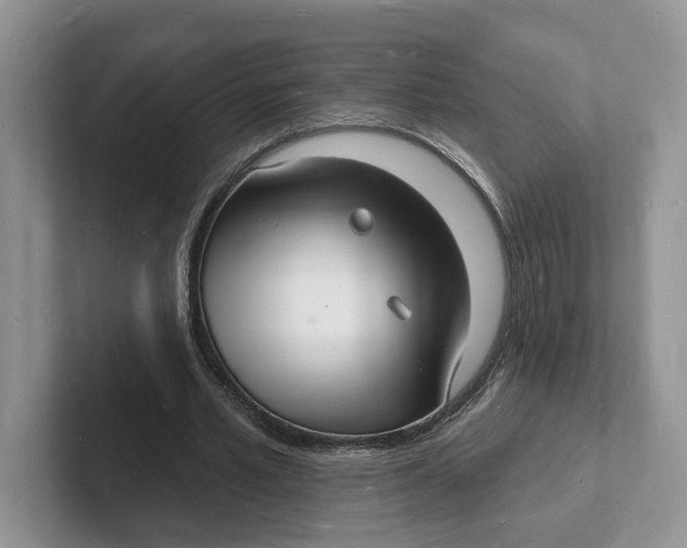 X0000101690581200807311413