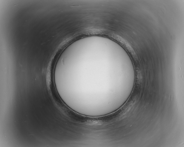 X0000101690582200807311413