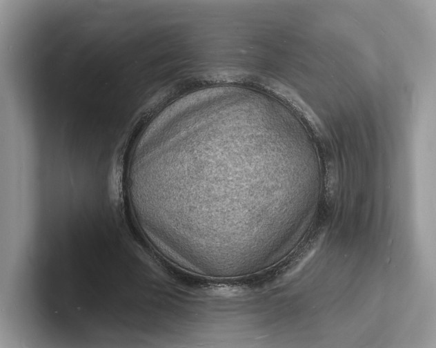 X0000101690585200807311413