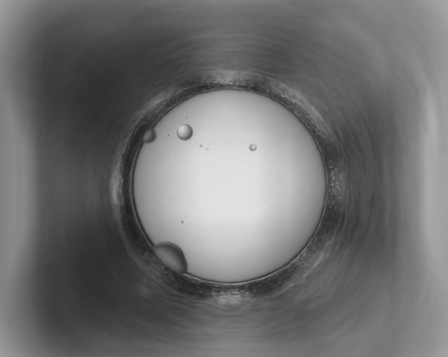 X0000101690587200807311413